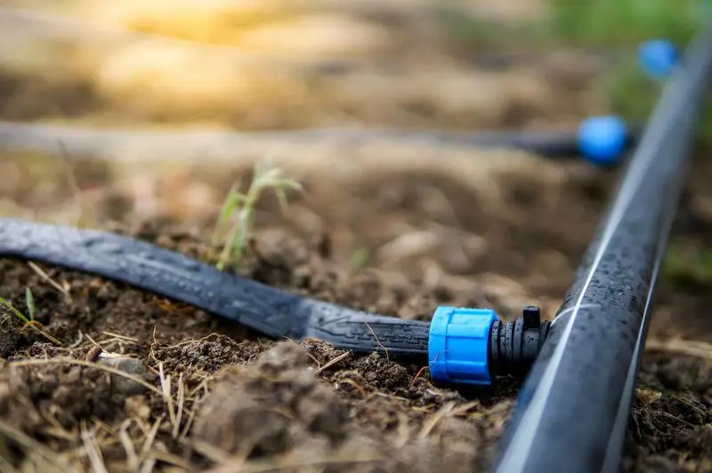 uyau de Goutte à goutte jardinage avec raccord installé dans le sol.