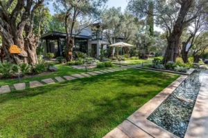 Jardin paysager résidentiel avec oliviers, pelouse et bassin au Tanger