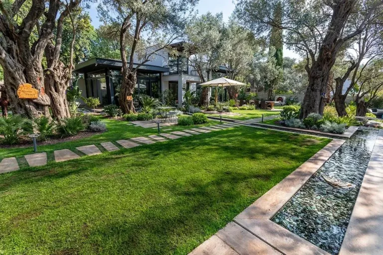 Jardin paysager résidentiel avec oliviers, pelouse et bassin au Tanger