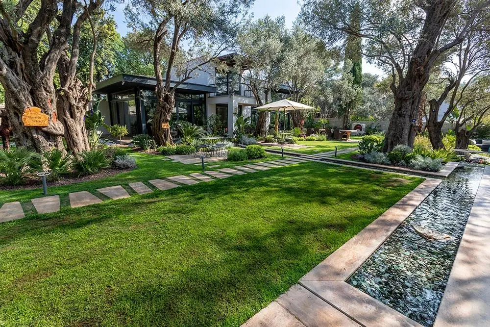 Jardin paysager résidentiel avec oliviers, pelouse et bassin au Tanger