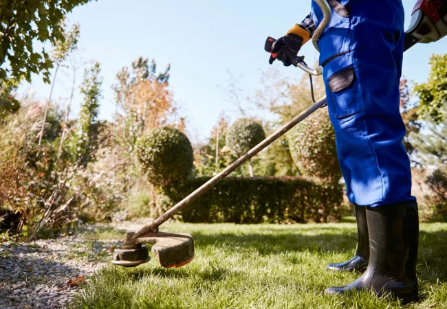 Jardinier en tenue de travail coupant l'herbe avec un coupe-bordure.